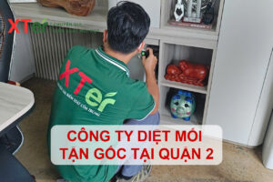 cong ty diet moi quan 2