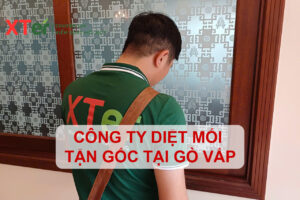 cong ty diet moi go vap