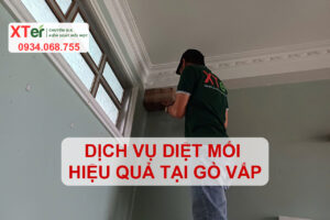 diet moi go vap hieu qua