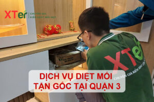diet moi quan 3 1