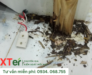 moi xam hai Sao chep e1721273483802 1024x830 1