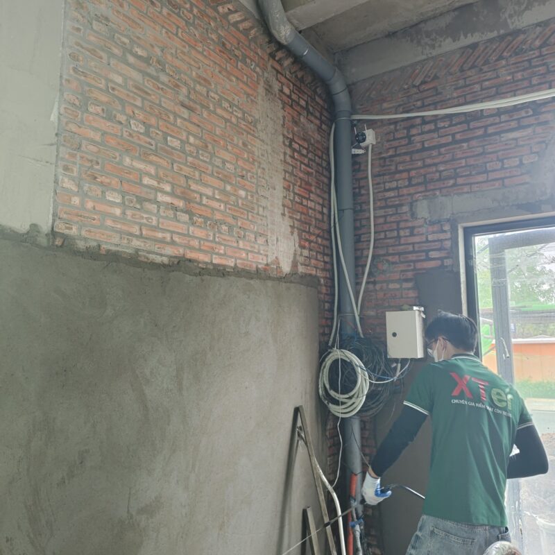 Diệt Mối Tại Nhà Dĩ An Tận Gốc Diệt mối tại nhà dĩ an tận gốc