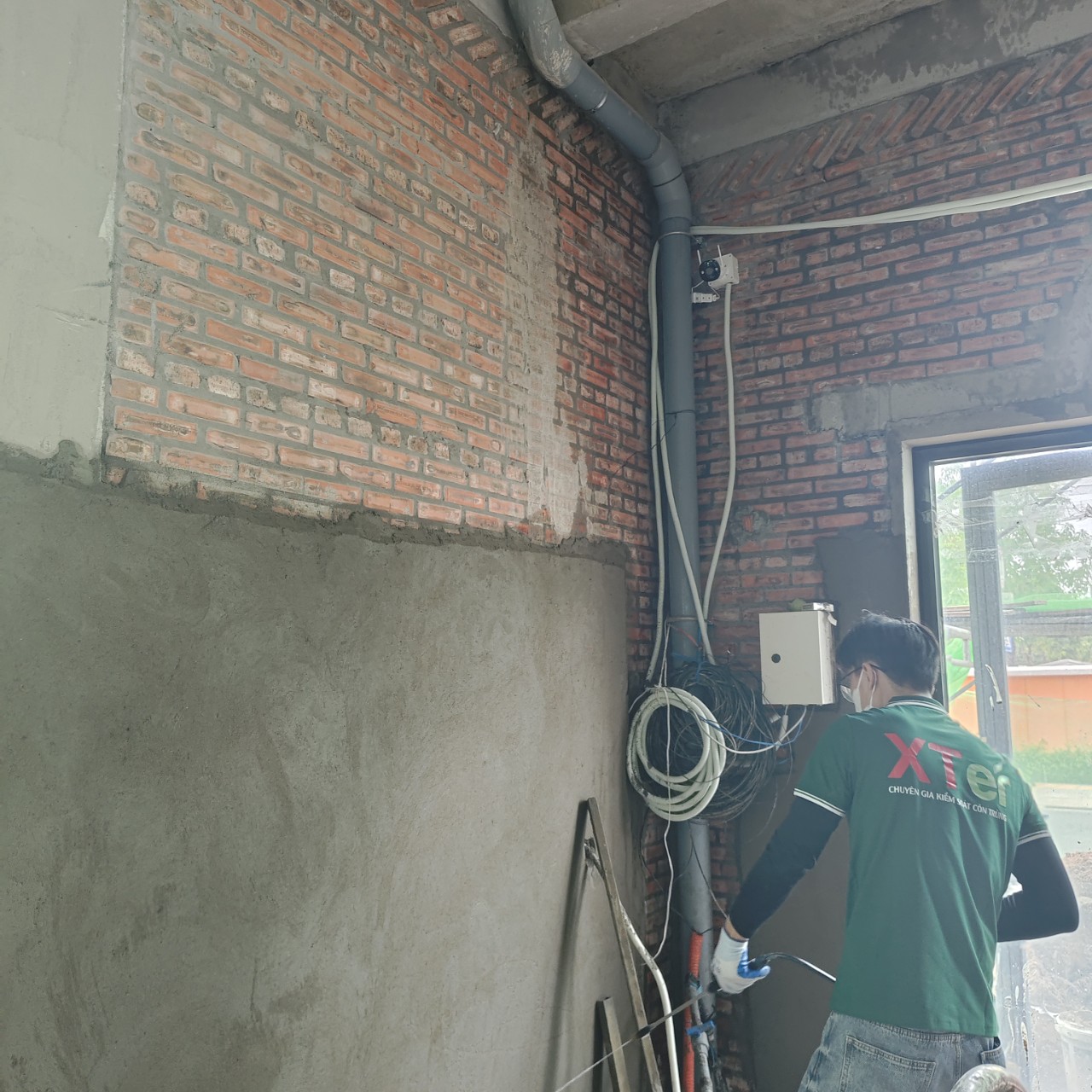 Diệt mối tại nhà dĩ an tận gốc Diệt mối tại nhà dĩ an tận gốc