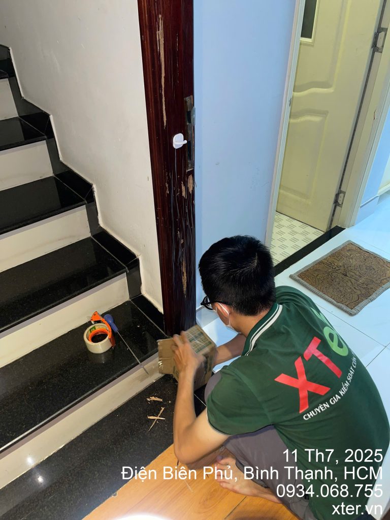 Dịch Vụ Diệt Mối Tận Gốc Tại Bình Thạnh Binh Thanh 1