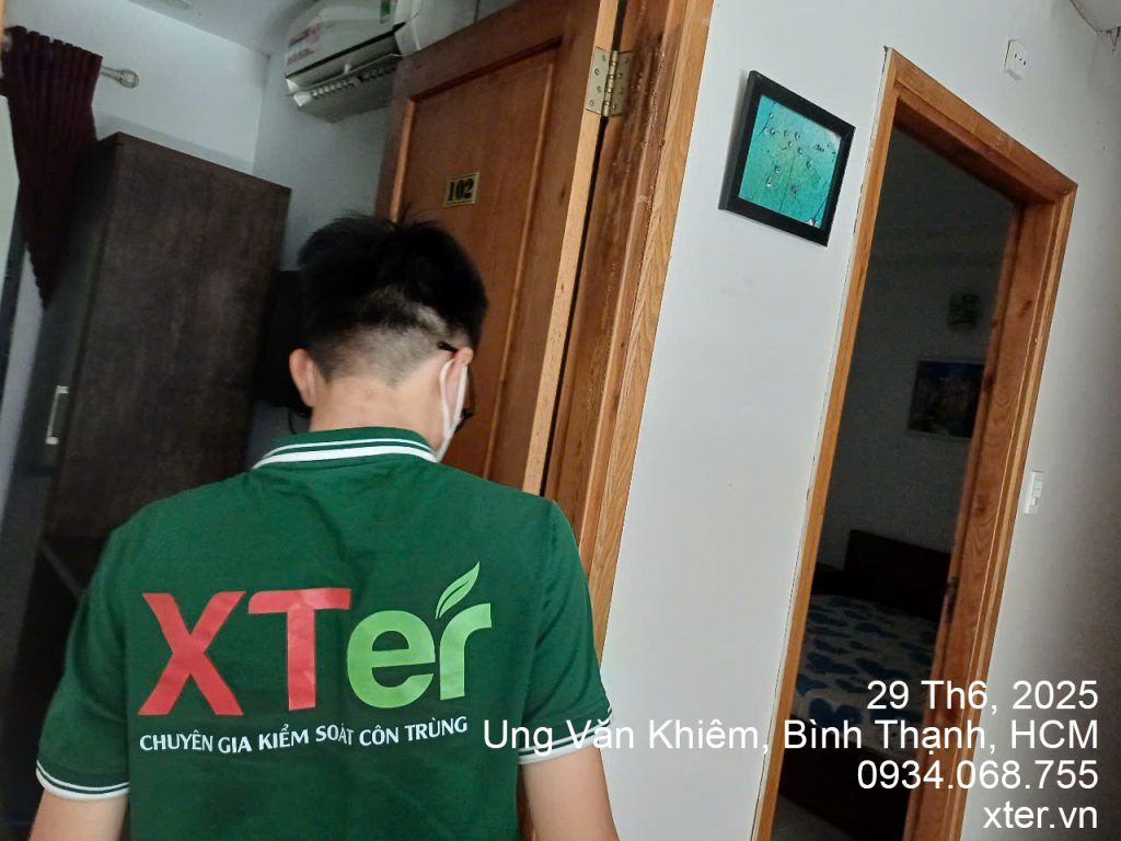 Dịch Vụ Diệt Mối Tận Gốc Tại Bình Thạnh Binh Thanh 2