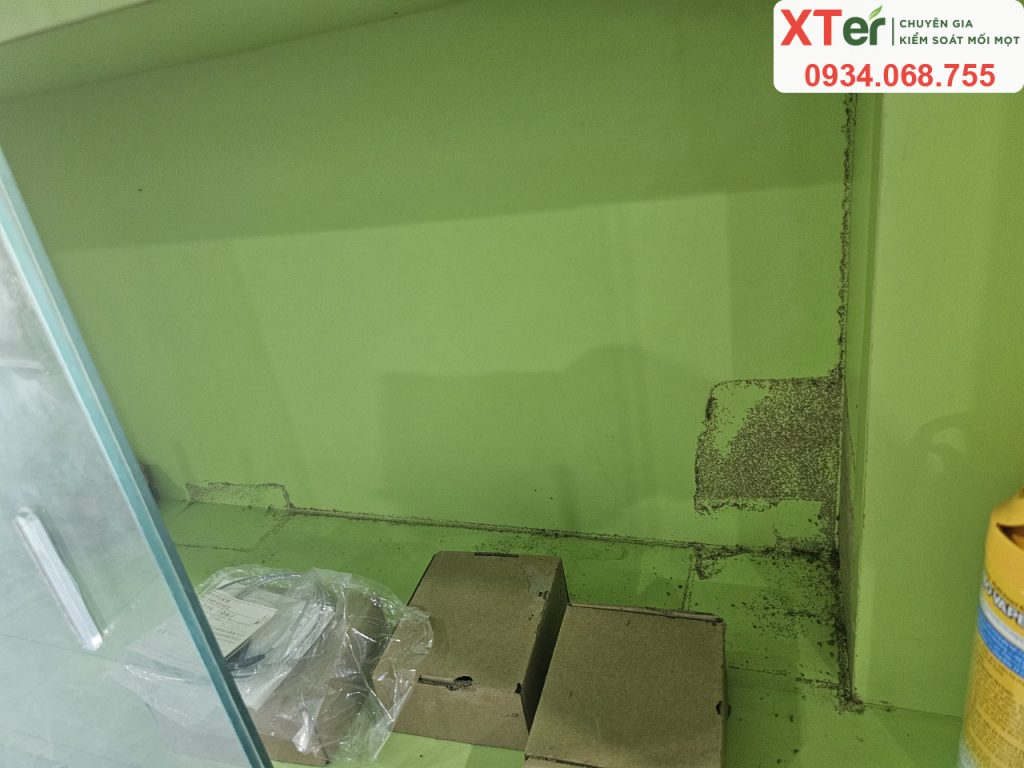 Kho Hàng Phát Hiện Mối - Anh Trần Văn Phú, Long An aphu 5