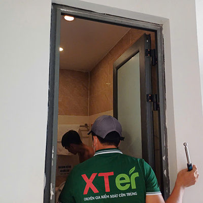 Dịch Vụ Diệt Mối Tận Gốc Tại Bình Thạnh