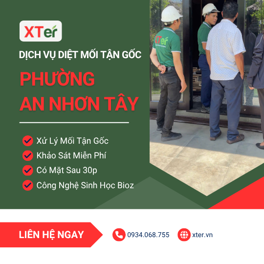 Dịch vụ diệt mối tận gốc tại An Nhơn Tây