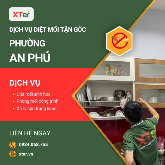 Dịch vụ diệt mối tận gốc tại An Phú