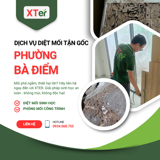 Dịch vụ diệt mối tận gốc tại Bà Điểm