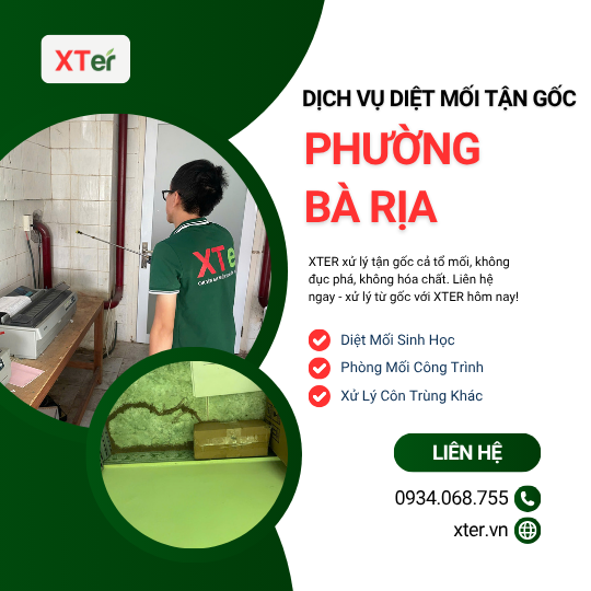 Dịch vụ diệt mối tận gốc tại Bà Rịa