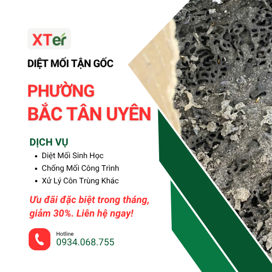 Dịch vụ diệt mối tận gốc tại Bắc Tân Uyên