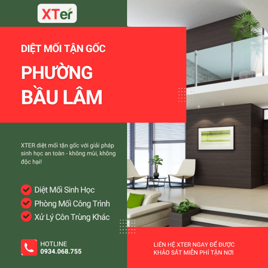 Dịch vụ diệt mối tận gốc tại Bàu Lâm