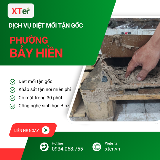 Dịch vụ diệt mối tận gốc tại Bảy Hiền