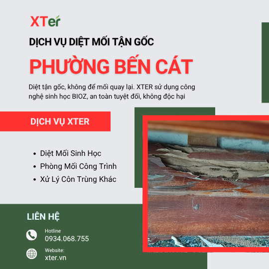 Dịch vụ diệt mối tận gốc tại Bến Cát