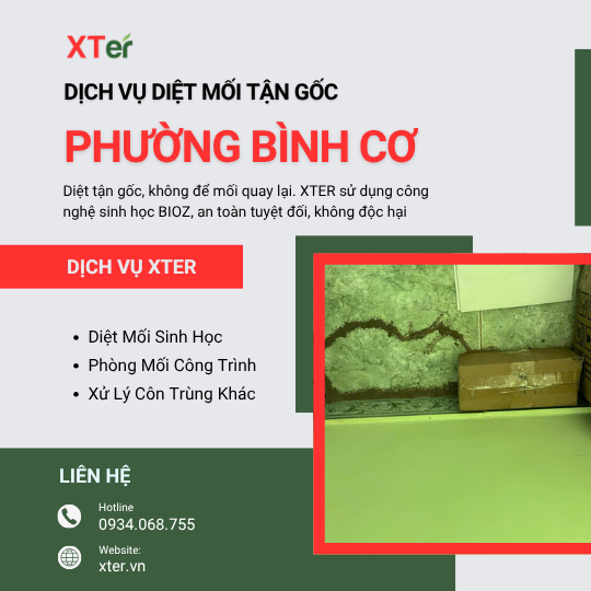 Dịch vụ diệt mối tận gốc tại Bình Cơ