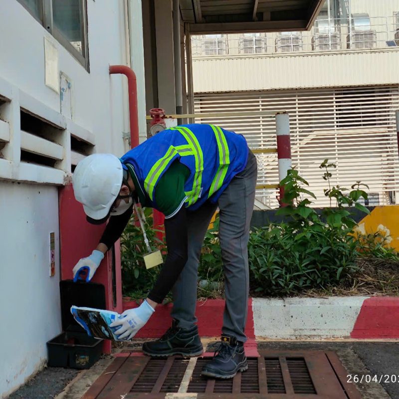 diet moi binh duong 3