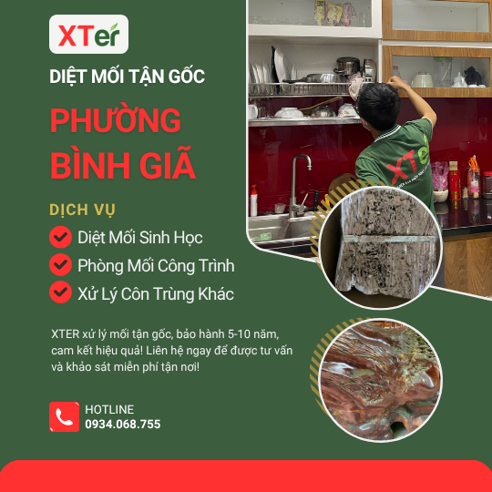 Dịch vụ diệt mối tận gốc tại Bình Giã