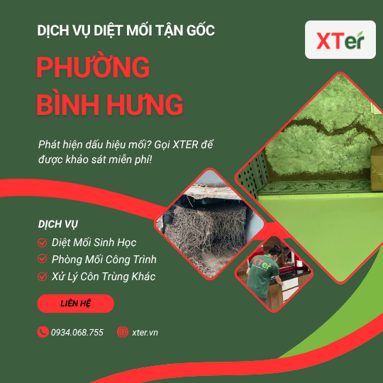 Dịch vụ diệt mối tận gốc tại Bình Hưng