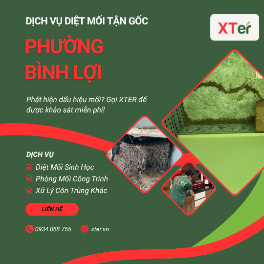 Dịch vụ diệt mối tận gốc tại Bình Lợi