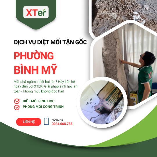 Dịch vụ diệt mối tận gốc tại Bình Mỹ
