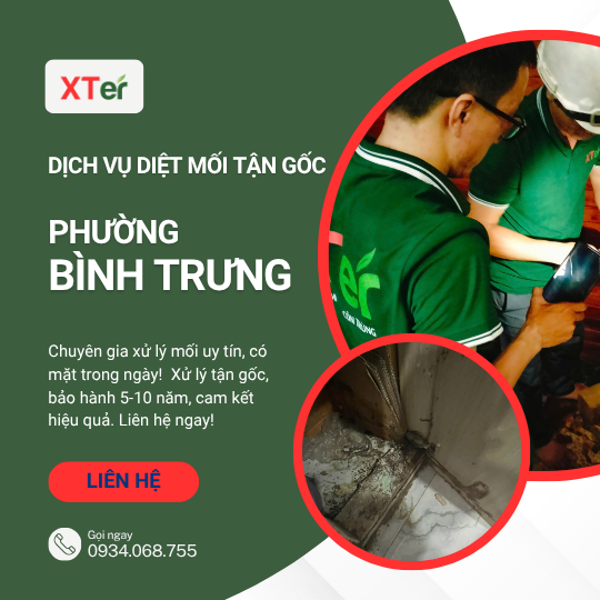 Dịch vụ diệt mối tận gốc tại Bình Trưng