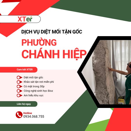 Dịch vụ diệt mối tận gốc tại Chánh Hiệp