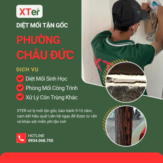 Dịch vụ diệt mối tận gốc tại Châu Đức