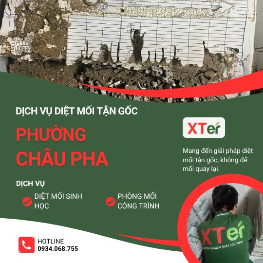 Dịch vụ diệt mối tận gốc tại Châu Pha