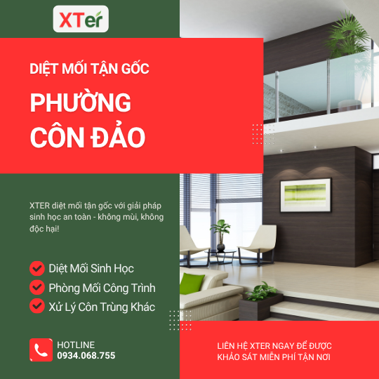 Dịch vụ diệt mối tận gốc tại Côn Đảo