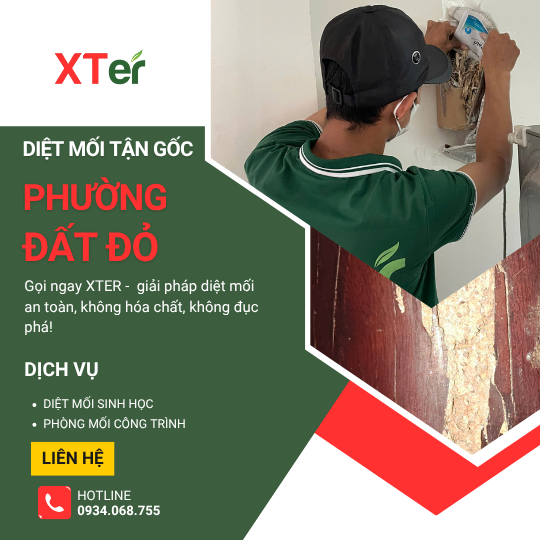 Dịch vụ diệt mối tận gốc tại Đất Đỏ
