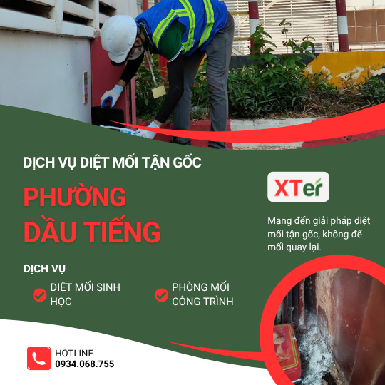 Dịch vụ diệt mối tận gốc tại Dầu Tiếng