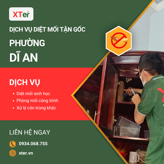 Dịch vụ diệt mối tận gốc tại Dĩ An