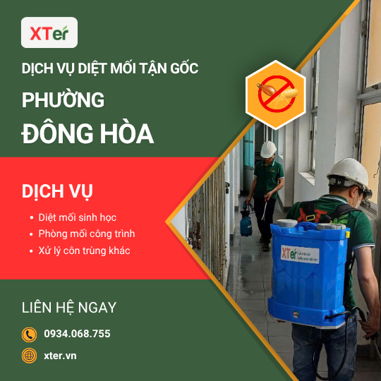 Dịch vụ diệt mối tận gốc tại Đông Hòa