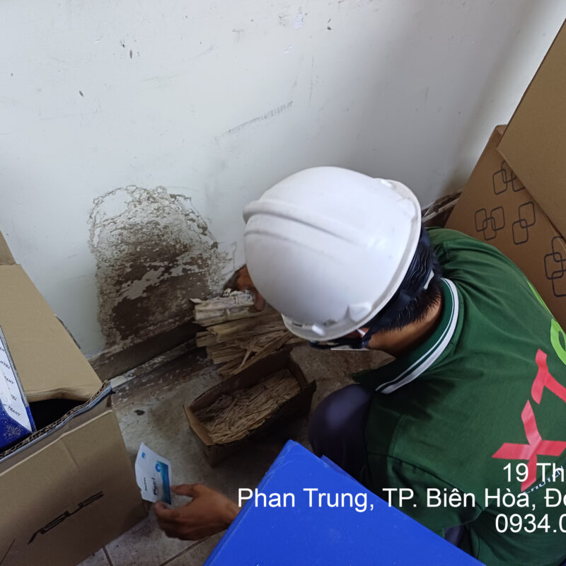 Dịch Vụ Diệt Mối Tận Gốc Tại Đồng Nai diet moi dong nai 1