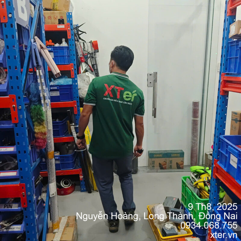 Dịch Vụ Diệt Mối Tận Gốc Tại Đồng Nai diet moi dong nai 3