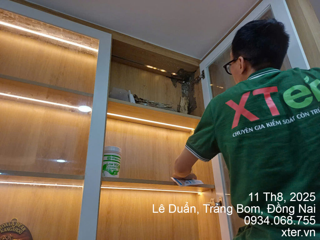 Dịch Vụ Diệt Mối Tận Gốc Tại Đồng Nai diet moi dong nai 4