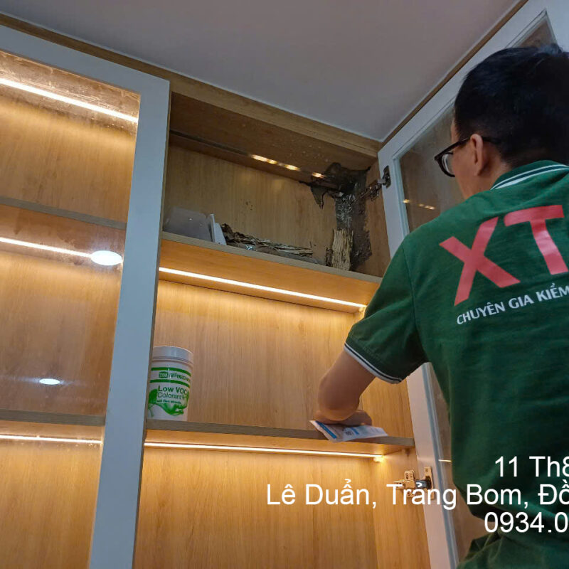 Dịch Vụ Diệt Mối Tận Gốc Tại Đồng Nai diet moi dong nai 4