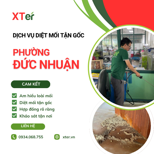 Dịch vụ diệt mối tận gốc tại Đức Nhuận