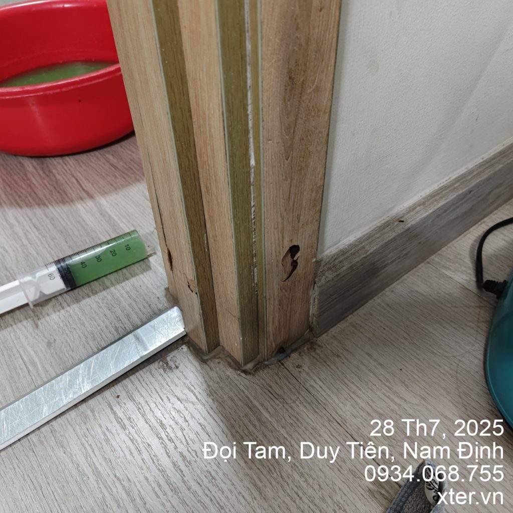 Dịch vụ diệt mối Hà Nam uy tín