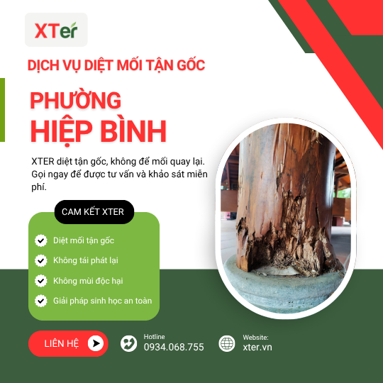 Dịch vụ diệt mối tận gốc tại Hiệp Bình