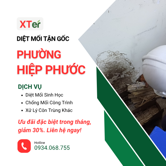 Dịch vụ diệt mối tận gốc tại Hiệp Phước