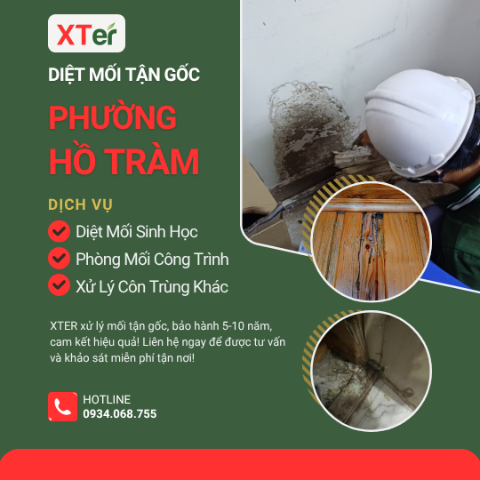Dịch vụ diệt mối tận gốc tại Hồ Tràm
