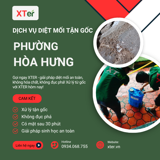 Dịch vụ diệt mối tận gốc tại Hòa Hưng