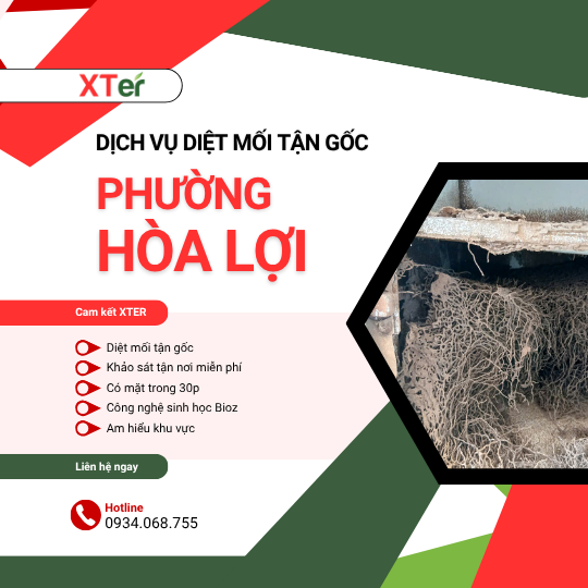 Dịch vụ diệt mối tận gốc tại Hòa Lợi
