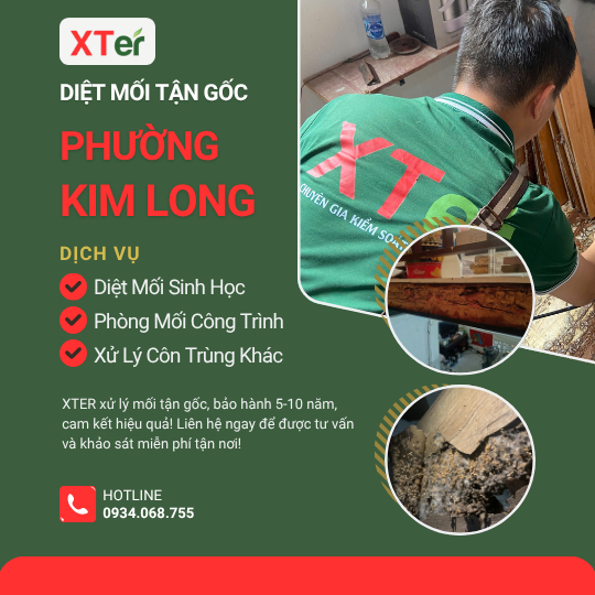 Dịch vụ diệt mối tận gốc tại Kim Long