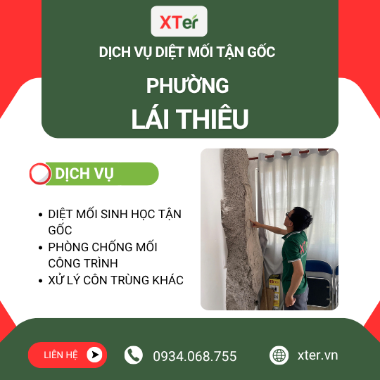 Dịch vụ diệt mối tận gốc tại Lái Thiêu