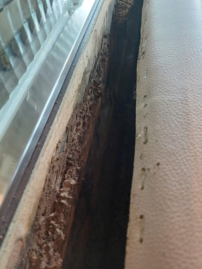 XTER Diệt Mối Tận Gốc Cho Nhà Anh Quang - Đường Lê Văn Sỹ, Quận 3 diet moi le van sy quan 3 2