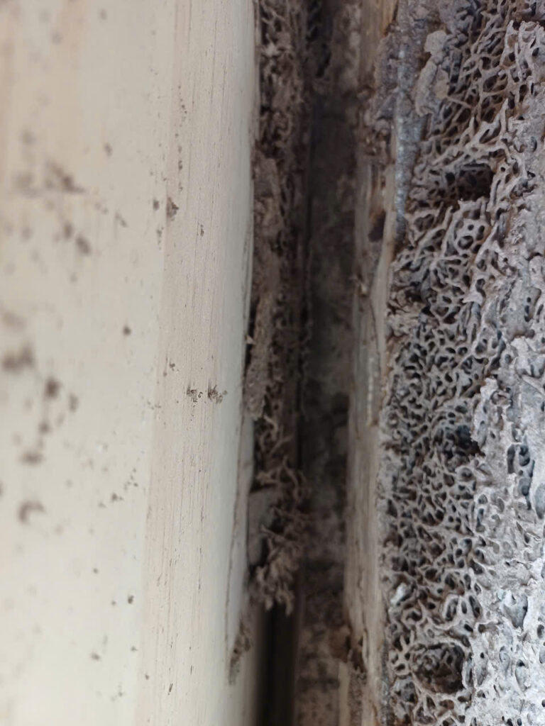 XTER Diệt Mối Tận Gốc Cho Nhà Anh Quang - Đường Lê Văn Sỹ, Quận 3 Hệ thống đường hầm phức tạp bên trong gỗ - như một thành phố thu nhỏ