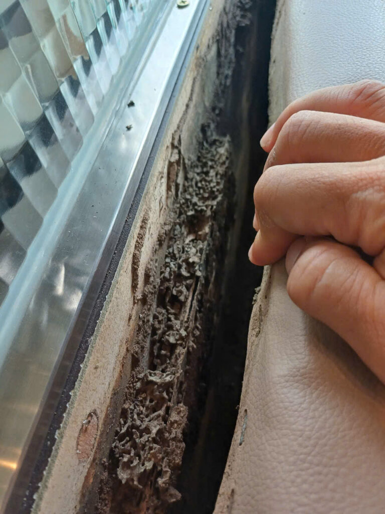 XTER Diệt Mối Tận Gốc Cho Nhà Anh Quang - Đường Lê Văn Sỹ, Quận 3 diet moi le van sy quan 3 5